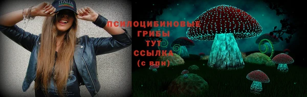 дживик Алексин