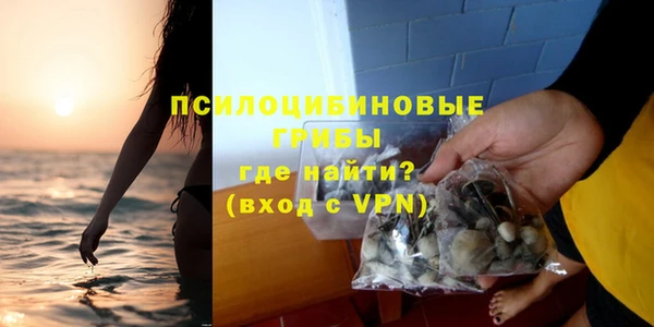 дживик Алексин