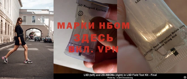 прущие грибы Алзамай