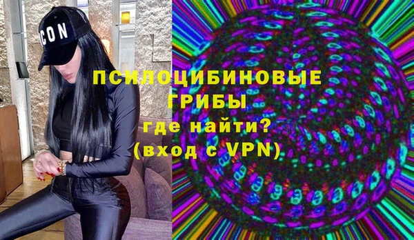 ПСИЛОЦИБИНОВЫЕ ГРИБЫ Навашино