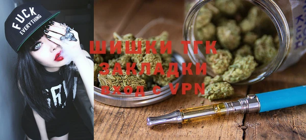 дживик Алексин