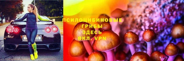 дживик Алексин