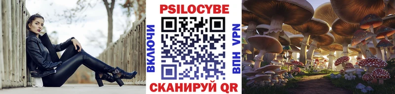 Псилоцибиновые грибы Magic Shrooms  цена   Юрьев-Польский 